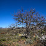 porcupine-peak-13